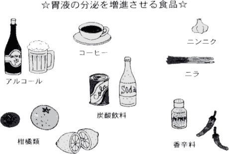 胃の分泌を増進させる食品