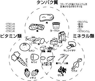 健康な歯を作る栄養素