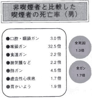 臓器への影響