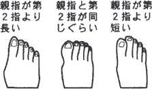 足の形態