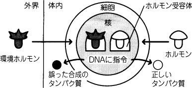 一度体内に