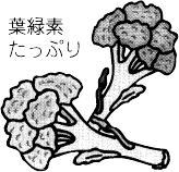 食物繊維と葉緑素