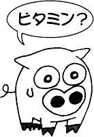 食事のポイント