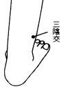 三陰交