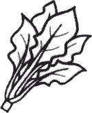 野菜