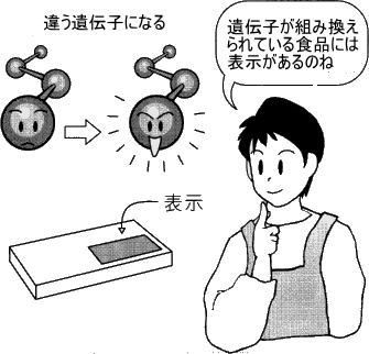 遺伝子組み換え食品の表示