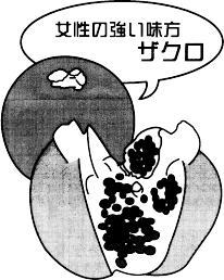 女性はザクロを