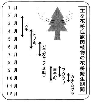 花粉症の原因