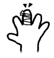 怪我
