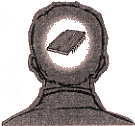 脳